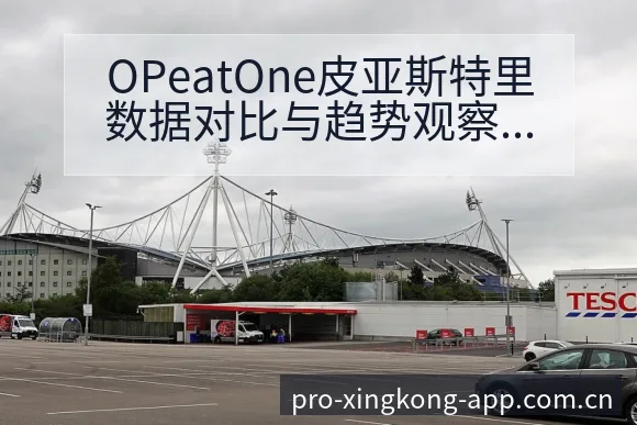 OPeatOne皮亚斯特里数据对比与趋势观察中的风险因素 - 星空体育官网