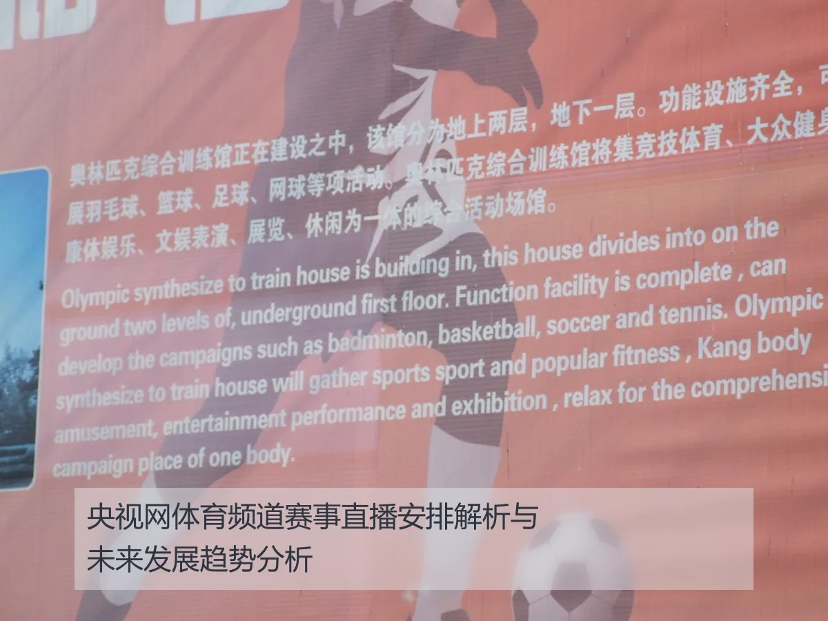 央视网体育频道赛事直播安排解析与未来发展趋势分析